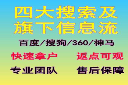 搜索引擎营销（SEM）成功案例详解