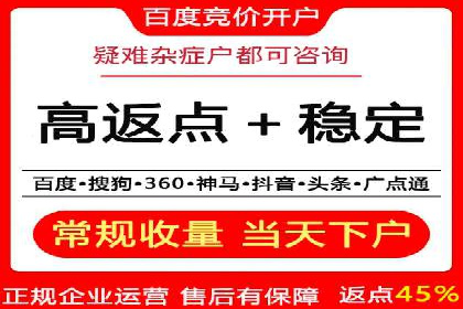 竞价代运营实战案例深度剖析